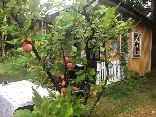 Apple tree cabin with river views